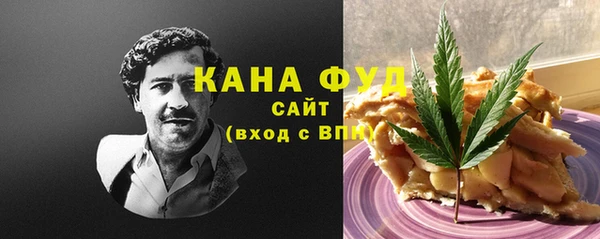 молекула духа Бородино