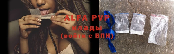 молекула духа Бородино