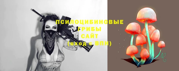 молекула духа Бородино