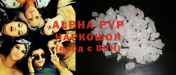 молекула духа Бородино