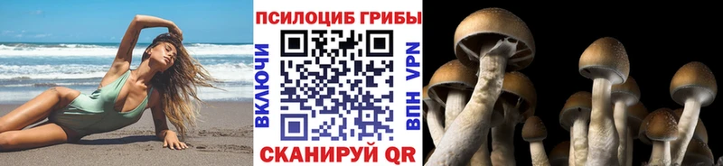 Псилоцибиновые грибы MAGIC MUSHROOMS  Сызрань 
