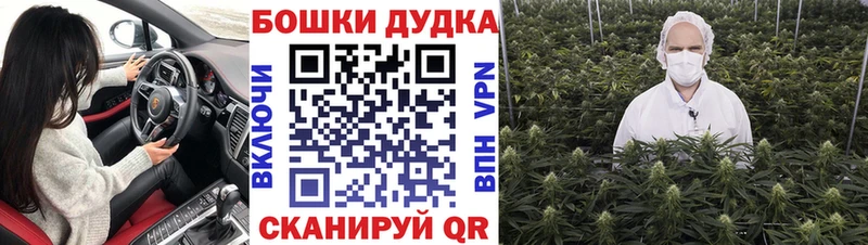 даркнет формула  хочу наркоту  Сызрань  МАРИХУАНА сатива 